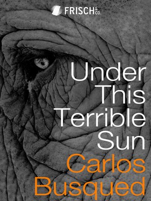 cover image of Under This Terrible Sun